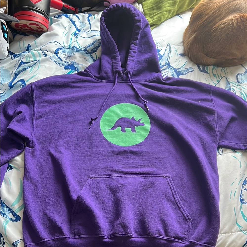 Purple Dinosaur Hoodie